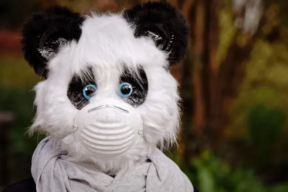 BetOriginal Kazino Atbalsts